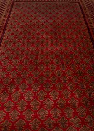 Herati
